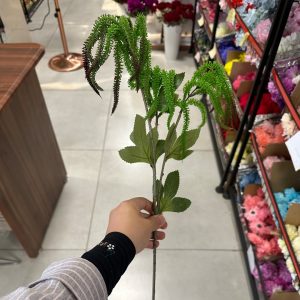 شاخه اورانتوس 3 بازو